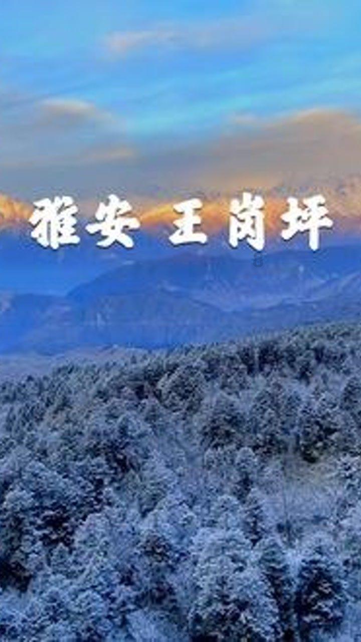 中世纪国王逃脱