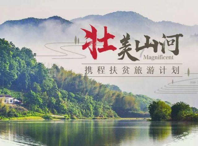 wemeeting会议软件红迪网——一个汇聚你所需的全新社区