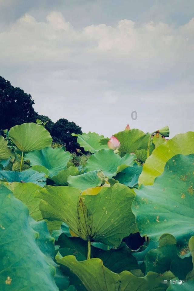 汽车华容道