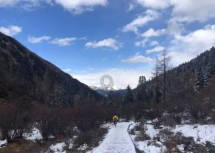 我市2023年12月 鲜菜价格环比上涨