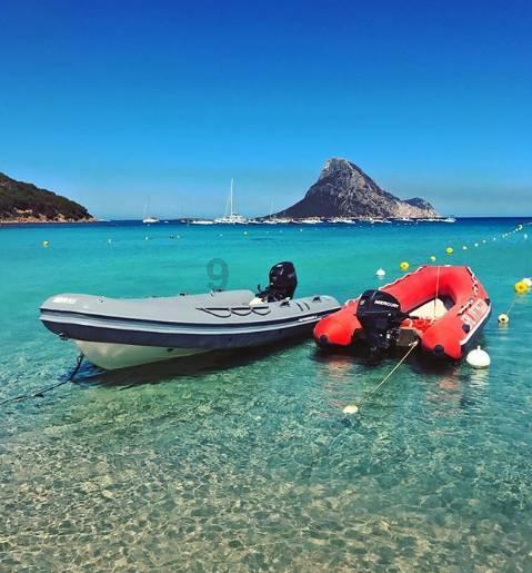 逃离大犀牛出没地