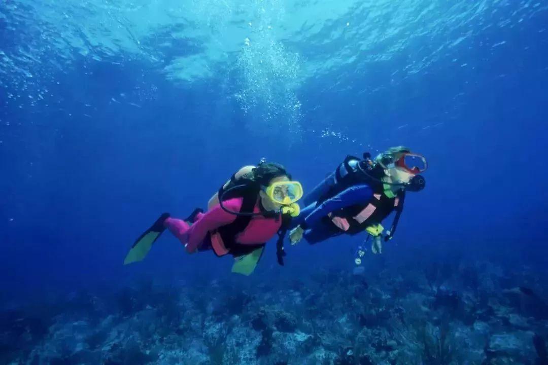 王者荣耀