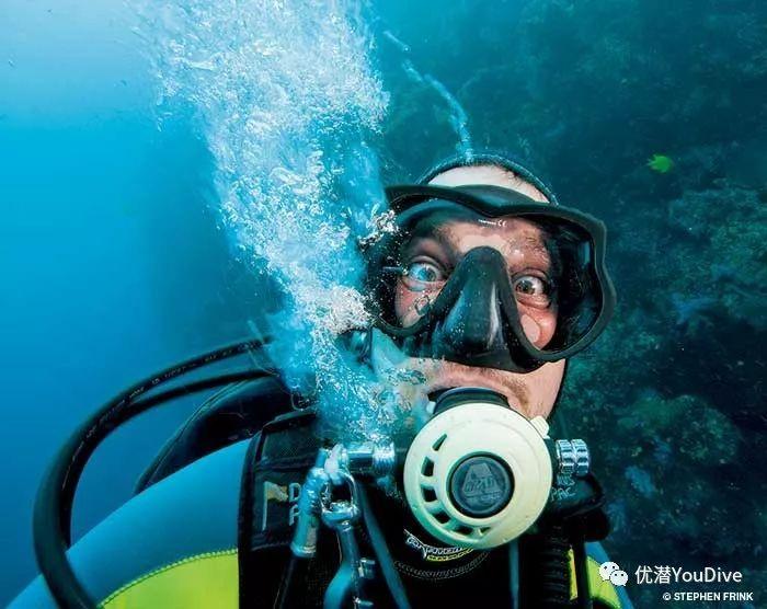 雨后盛放