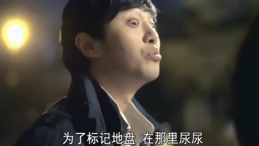寻找迷路的女孩