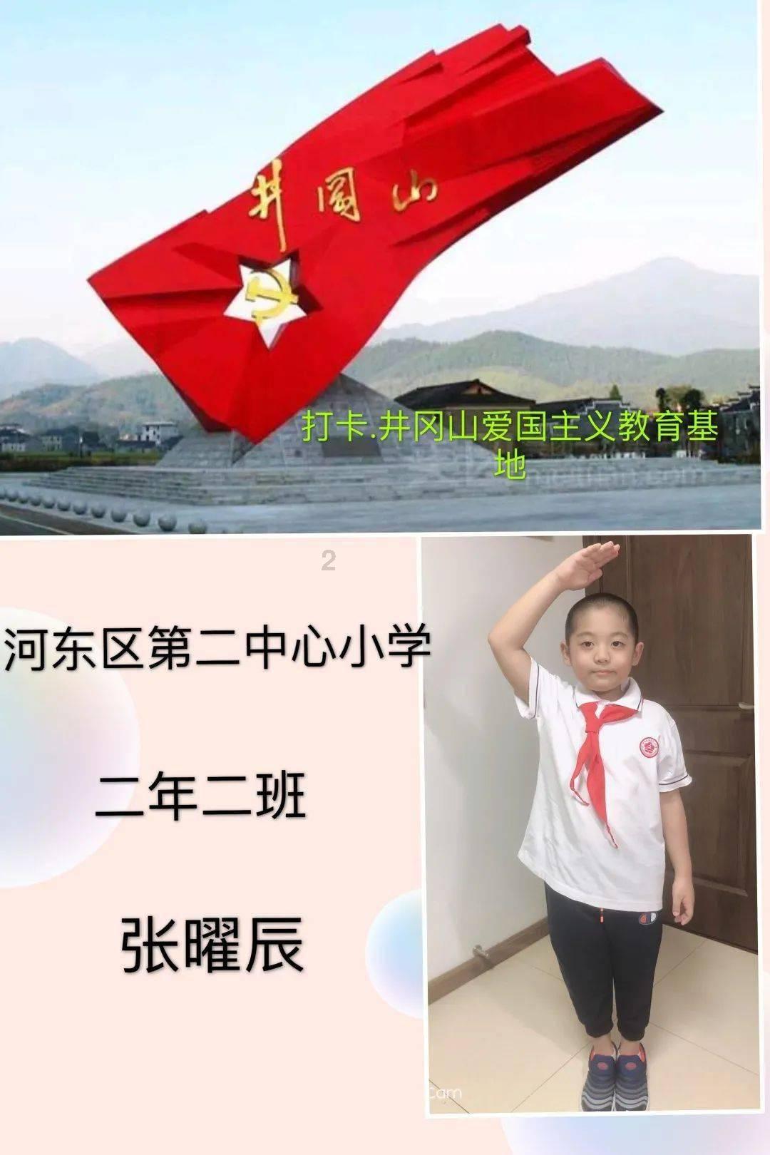 沉浸式体验山水城林,南京玄武湖太平门赏荷栈道正式开放