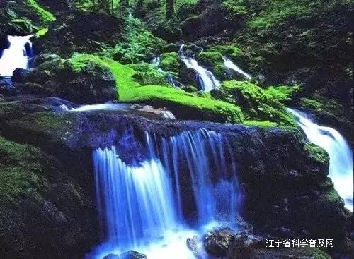 时尚潮流公主