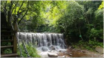 2024春节山东文化旅游节｜在东明赶冬季黄河大集 品人间烟火气