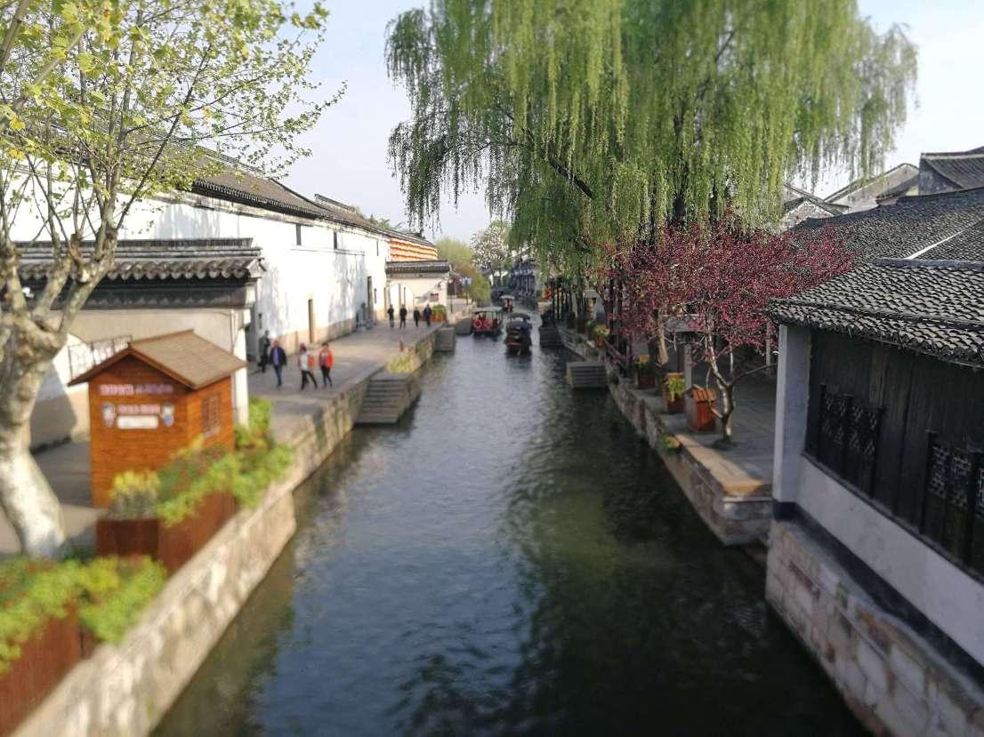 僵尸过人行道
