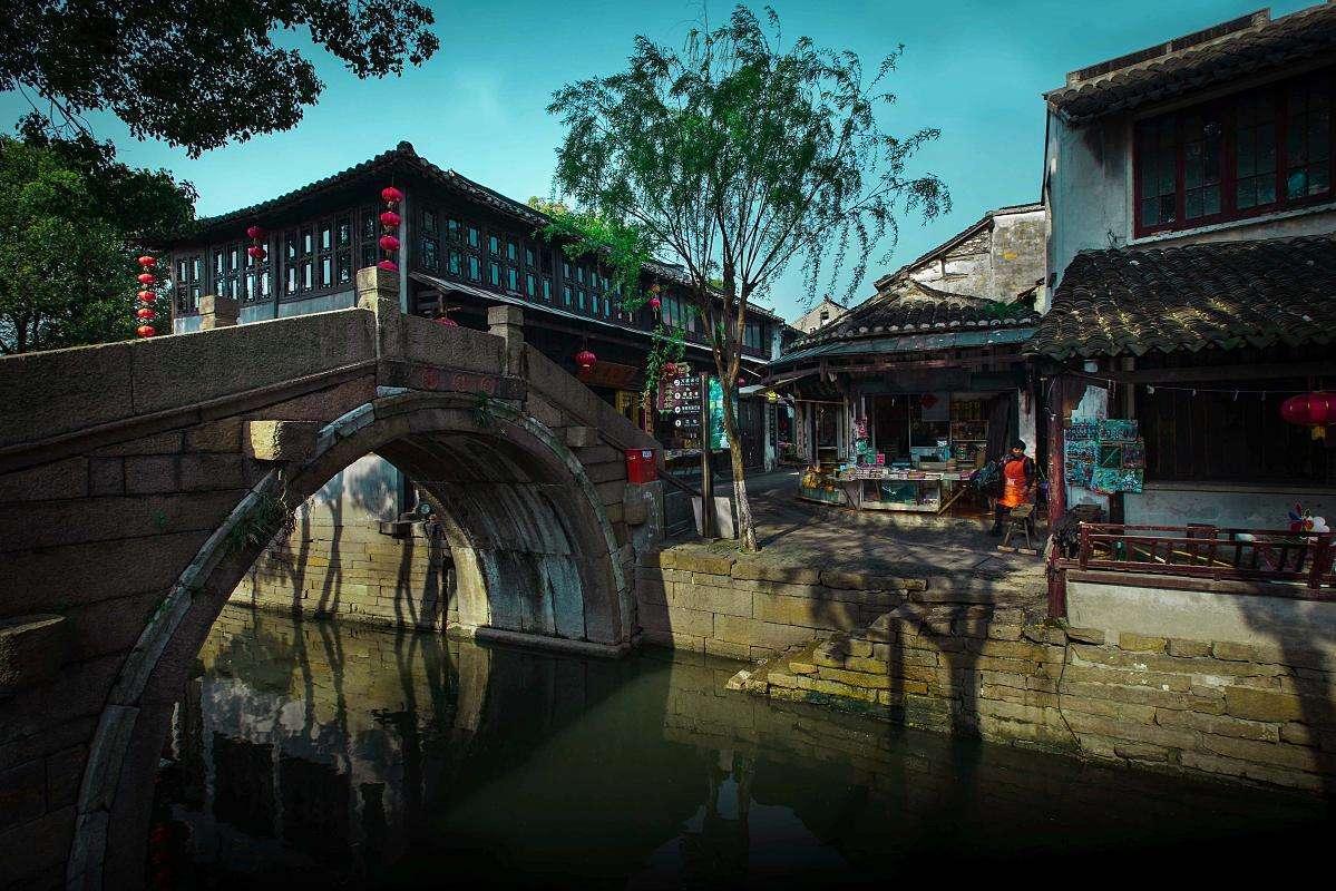 虎皮兰家里面可以养吗？游戏画面