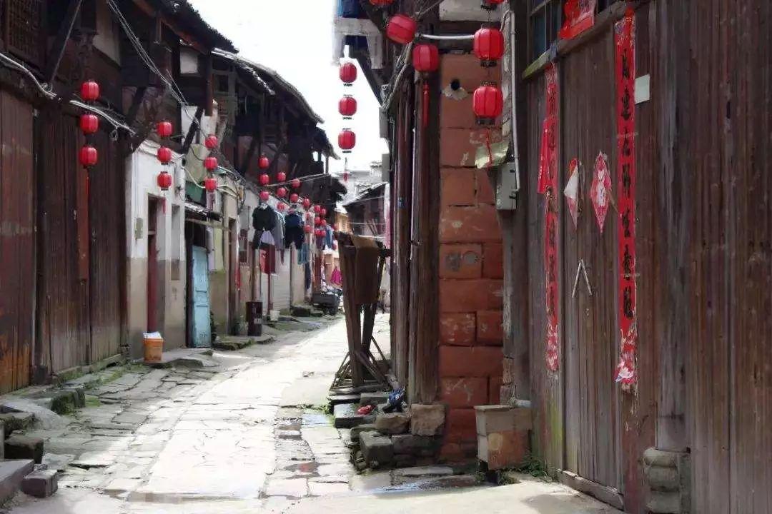 救援小棕兔