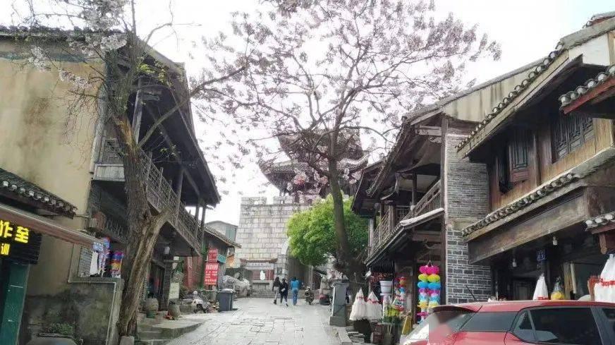疯狂球球极限求生