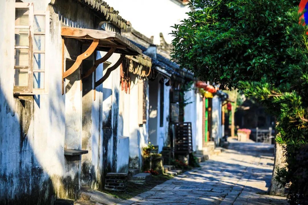 逃出郊外大别墅