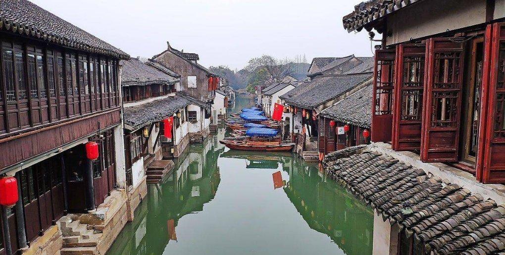 大熊猫渝可渝爱互“掐”,吊桥经不起折腾断裂,俩熊摔懵了