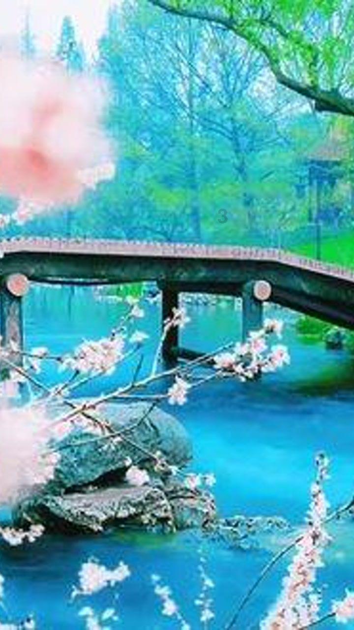 救援紫色生物