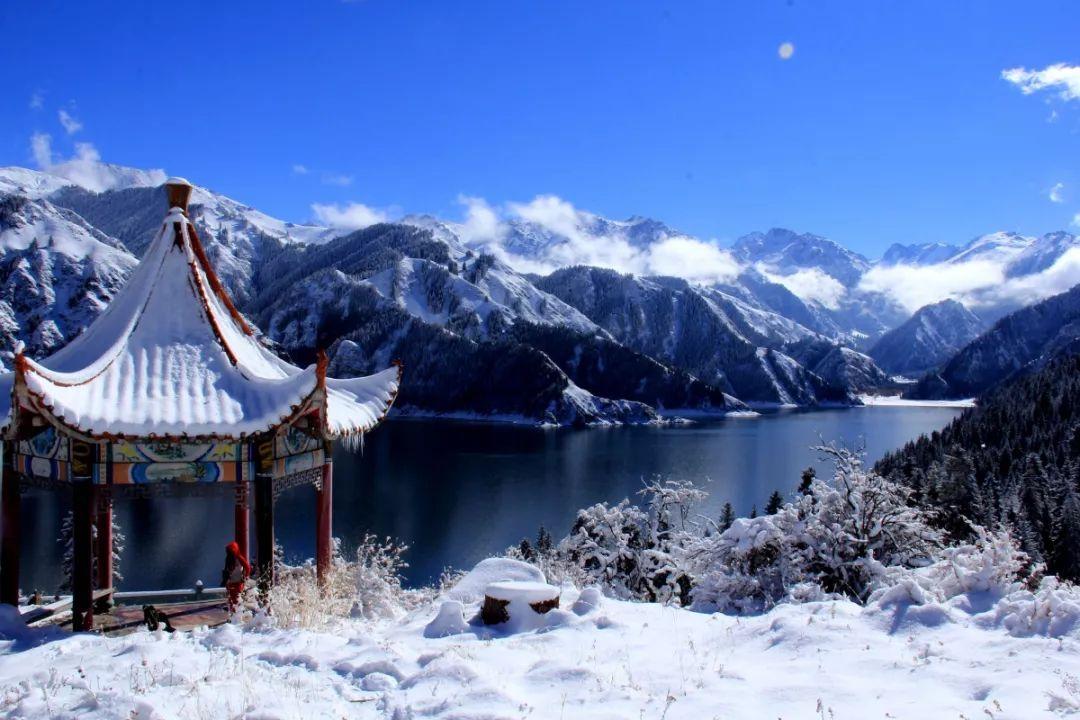 作为年轻人，出游时你是喜欢悠闲的度假还是喜欢紧凑的观光旅游？